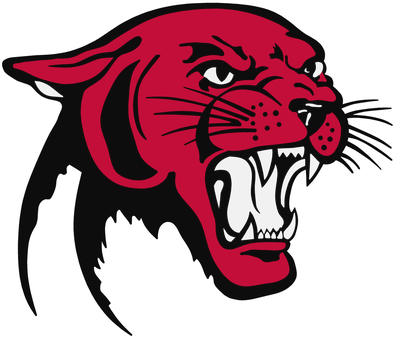 Panther Png Picture