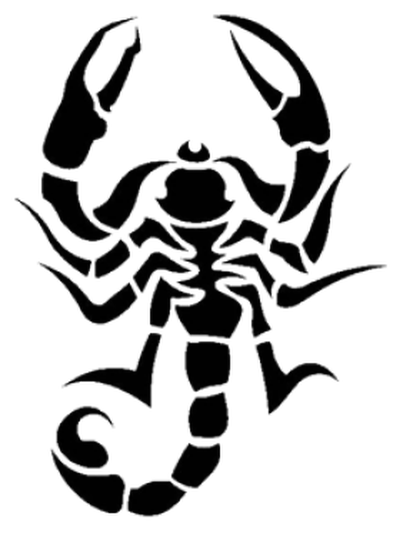 Scorpion Tattoos Png Picture