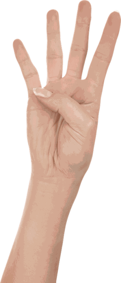 Four Finger Hand Hands Png Hand Image 