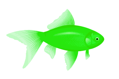 Green Fish Png Image