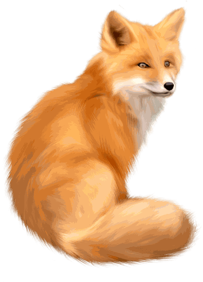 Fox Png Image Download Picture