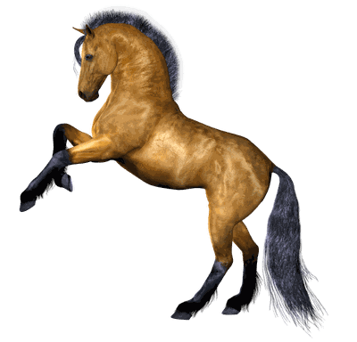 Horse Png Image Download Picture Transparent Background
