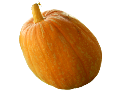 Real Pumpkin Transparent Image
