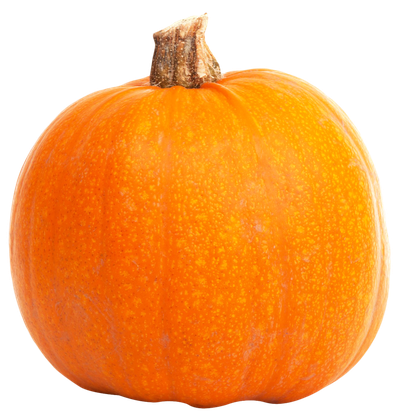 Real Pumpkin File