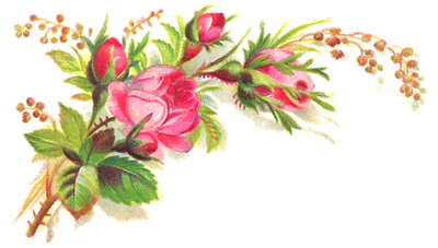 Pink Roses Flowers Bouquet Transparent Background