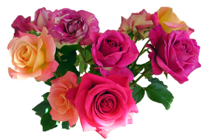 Pink Roses Flowers Bouquet Image