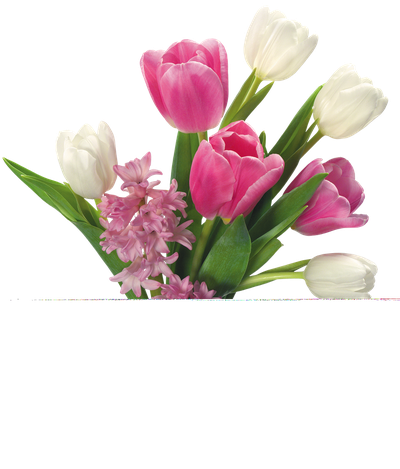 Pink Roses Flowers Bouquet Hd