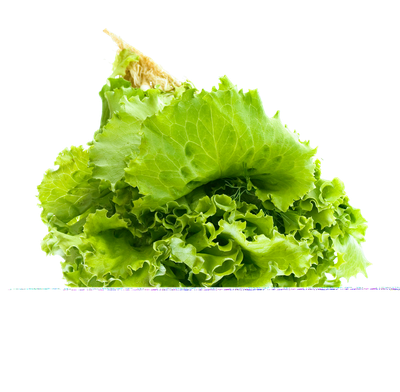 Salad Transparent Image