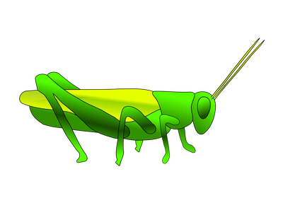 Grasshopper Hd