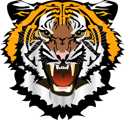 Tiger Face File