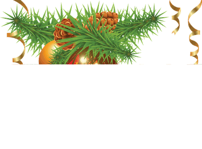 Christmas Fir-Tree Png Image