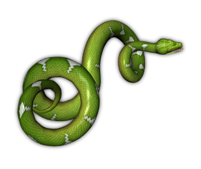 Green Snake Transparent Background