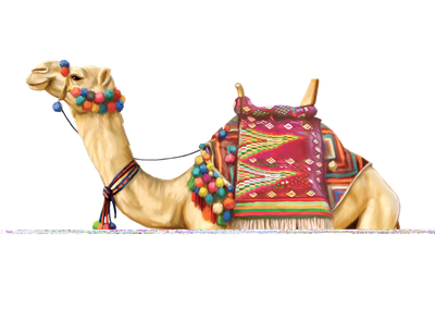 Camel Png 2