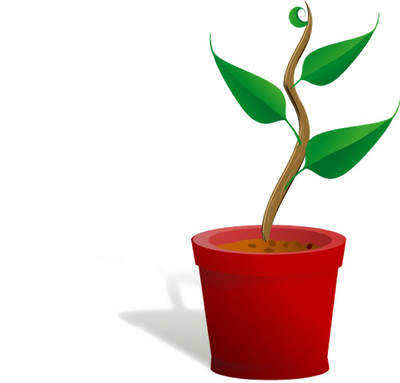 Growing Plant Download Free Clipart HD