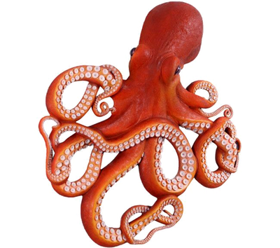 Octopus Free HD Image
