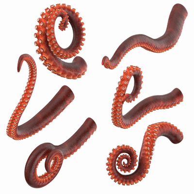Octopus Tentacles HQ Image Free PNG