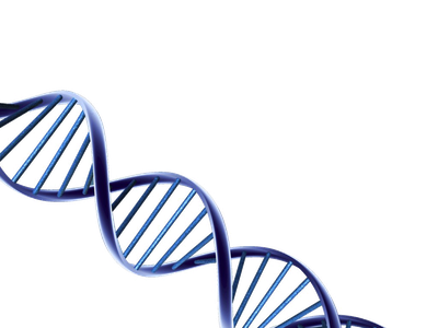 Dna HD Free Download Image