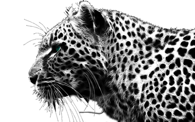 Cheetah Free Download Png