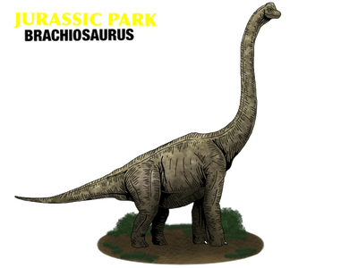 Brachiosaurus Free Download PNG HD