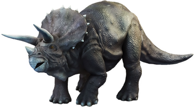 Triceratop Picture Free Download PNG HQ