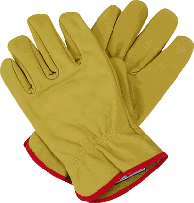 Gloves Png Image