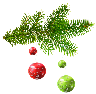 Fir Ornament Tree Day Year Christmas