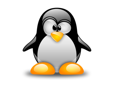 Samba Installation Servers Computer Build Linux Software