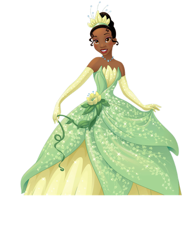 Mulan Ariel Belle Aurora Fa Rapunzel Princess