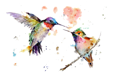 Watercolor Art Painting Drawing Hummingbird Download HQ PNG