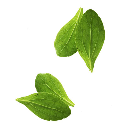 Vegetable Basil Leaves Leaf Free Transparent Image HQ