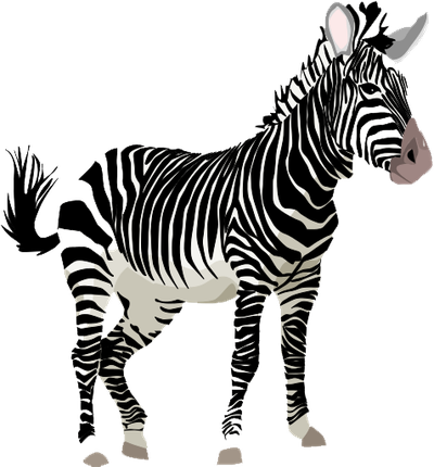 Zebra Png Clipart