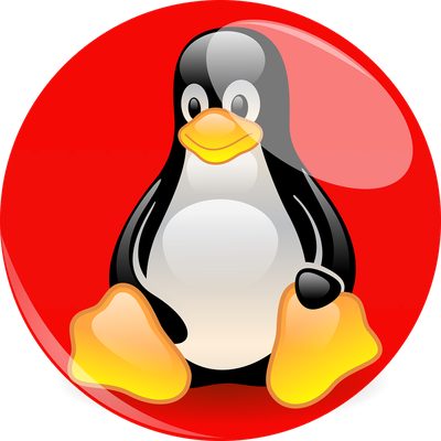Tux Enterprise Linux Hat Red Penguin