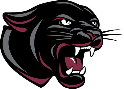 School Permian Panther Cat High Logo Mascot