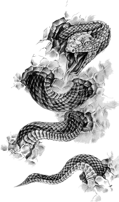 Tattoo Flash Rattlesnake Snake Black-And-Gray Free Download Image