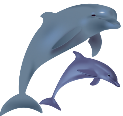 Dolphin Free Png Image