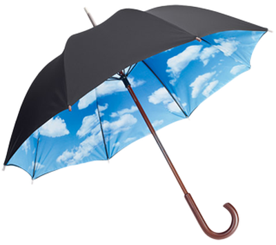 Umbrella Png Picture
