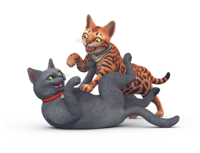 Sims Medium Dog Cat Sized To Cats