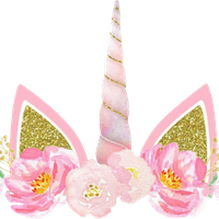 Pink Flower Iphone Unicorn PNG Image High Quality