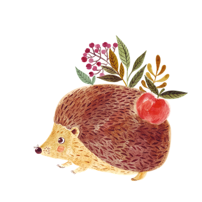 Cartoon Erinaceidae Royaltyfree Fruit Hedgehog Download HD PNG