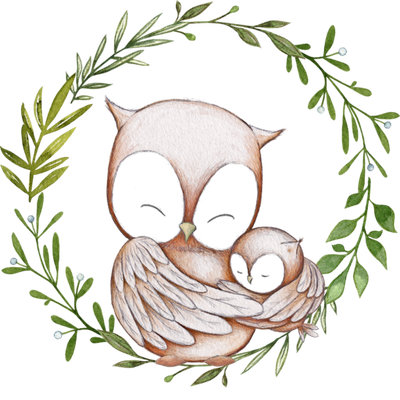Owl Wreath Shower Child Baby Bird