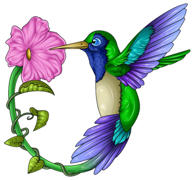 Hummingbird Tattoos Free Download Png