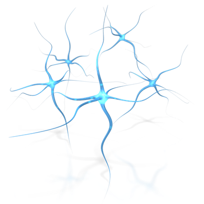 Blue Brain Neuron Flower Human Free Download PNG HD
