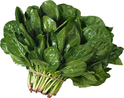 Salad PNG image