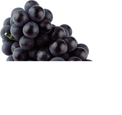 Black grape PNG image
