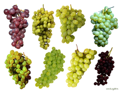 Grape PNG image download, free picture