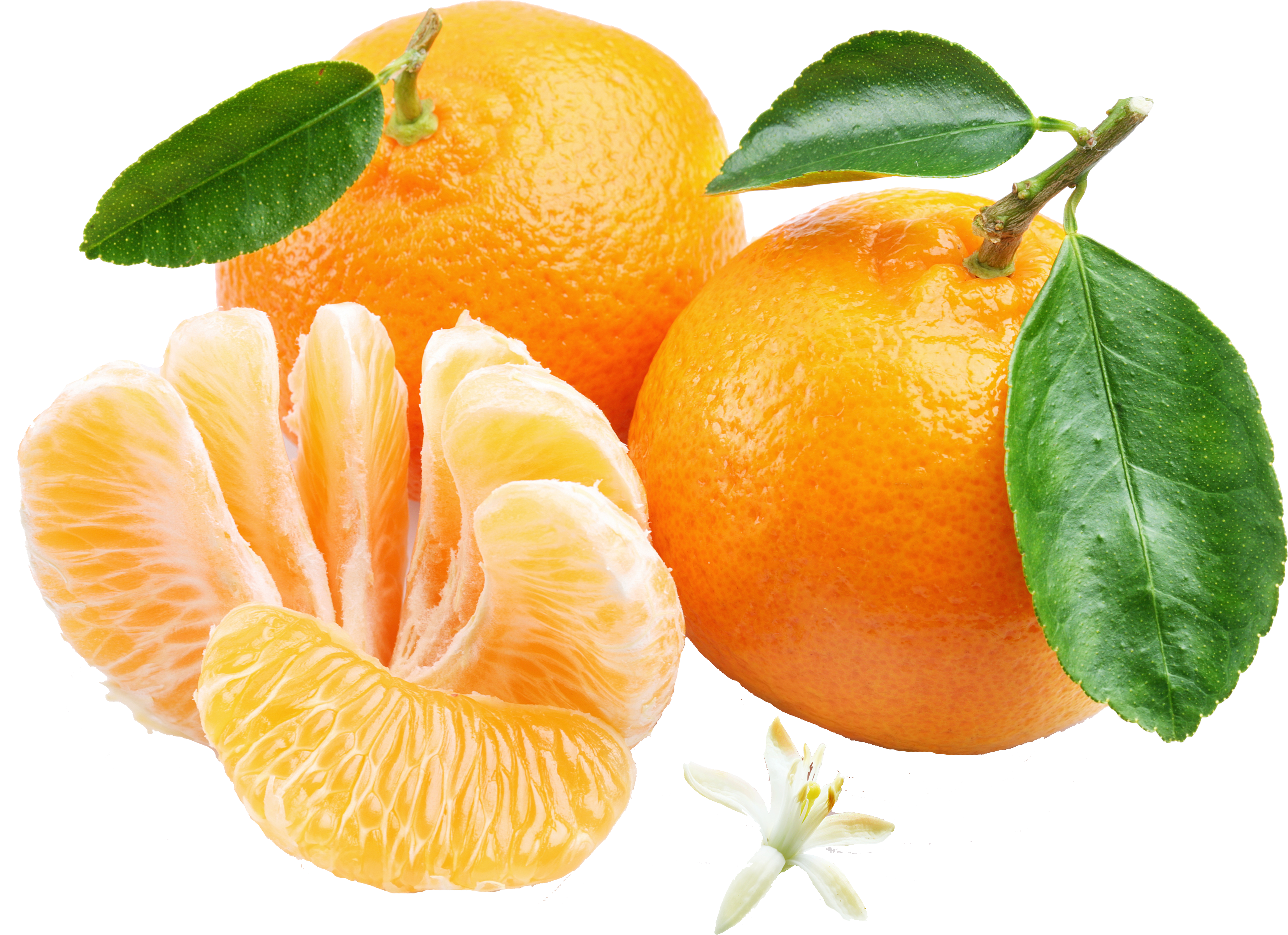 Мандарин citrus. Мандарин Танжерин. Танжерин (мандарин итальянский). ПОНКАН цитрус. Цитрус мандарин +апельсин.
