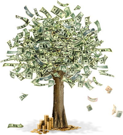 Money tree PNG image
