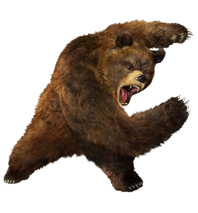 brown greezly bear PNG image