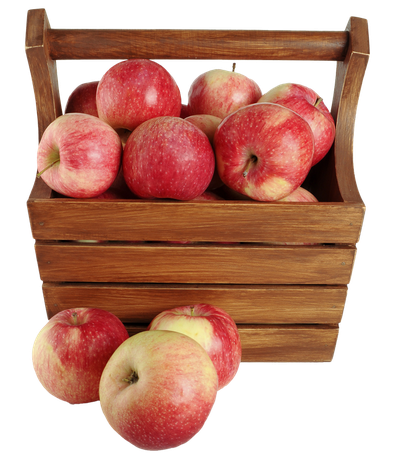 Apples in a Basket PNG image