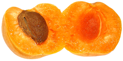 Apricot Fruit PNG image